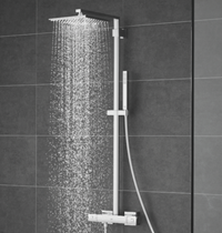Shower and shower system