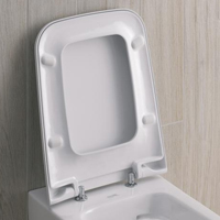 Toilet seat suitable Keramag Felino Stainless Steel Hinges Automatic Closing Removable 