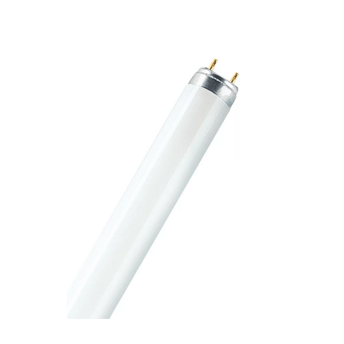Osram Lumilux T8 Fluorescent Tube 6500K 1200mm