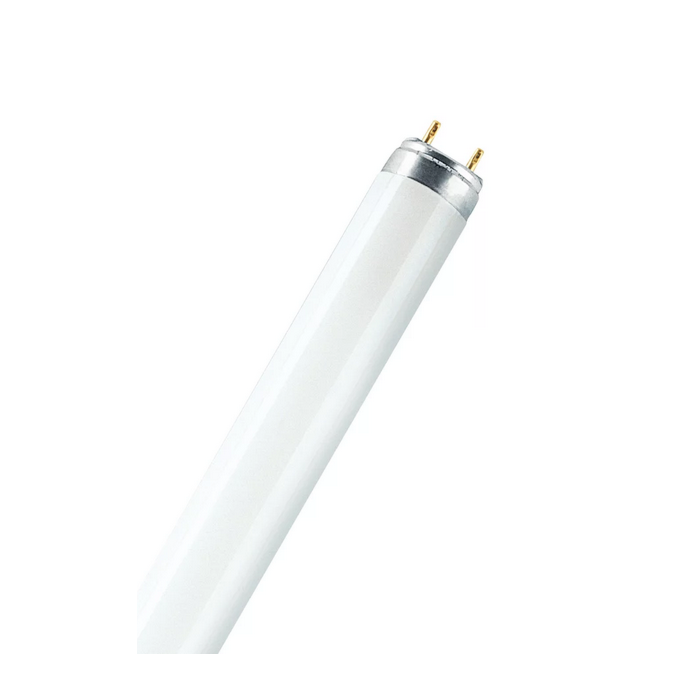 OSRAM LAMPE Lampe OSRAM LUMILUX T8 L 58 W/865 6500 K, 58 W, 865, 1500 mm