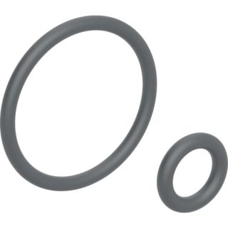 Geberit O-Ring f&uuml;r Duscharm 242176001 zu Geberit AquaClean 4000 / Sela