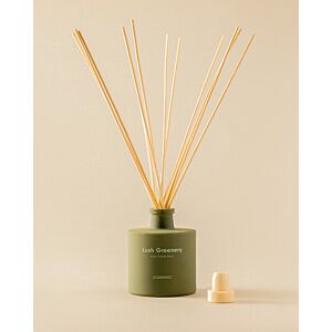 Cosmic Essentials Mikado Raumduft WJC292A0110418 mit Sticks, 60 x 60 x 70 mm, olive