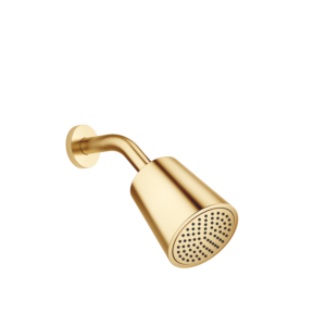 Dornbracht Kopfbrause 28504979-28 Ausladung 180-210 mm, messing gebürstet