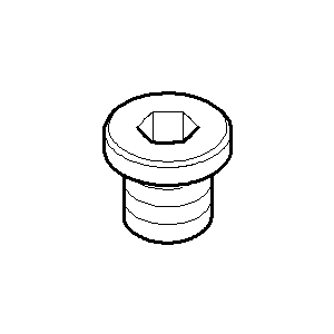 Vis Dornbracht M10 x 1/SW 5 08303070190 083030701 M10 x 1 mm