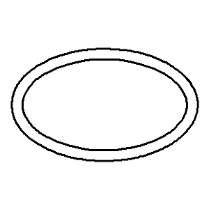 Dornbracht O-Ring 31,0x2,0 09141004090 2,0 mm