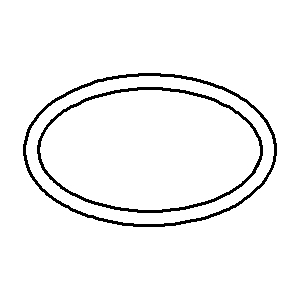 Dornbracht O-ring 28.3 x 2000 .78 09141008790 30x30x2