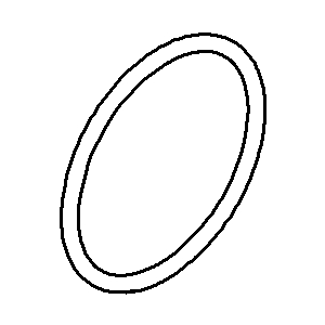 Dornbracht O-Ring 29 x 2 EPDM 70 W 09141013790 100x60x2