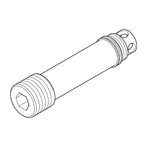 Dornbracht Bouchon pour extrémité de tuyau ,EHM-WFB-UP 09312004590 brut