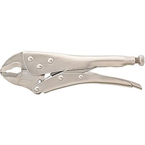 Pince étau FORTIS 4317784703192 250 mm