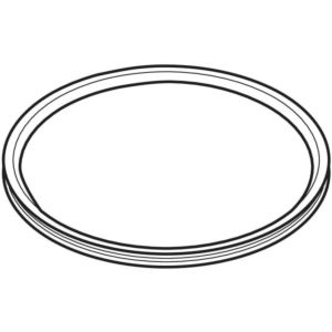 Geberit Dichtung zu Pluvia-Einsatzring 387023001