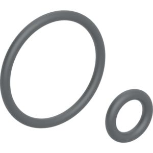 Geberit O-Ring für Duscharm 242176001 zu Geberit AquaClean 4000 / Sela