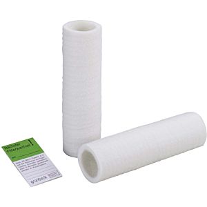 Grünbeck Ersatzfilterkerze 103068 19 cm, 50 µm Gr. 1 ohne Schutzglocke, 2er-Pack