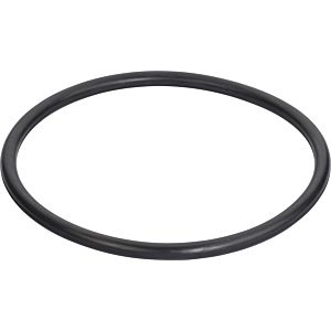 Grünbeck O-Ring 211.00 x 12.00-EPDM 70 Drinking Water 87003320 for GENO fine filter FM (Cold Water + Hot Water)