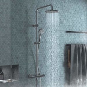 Hansa Hansaunita système de douche 58149203 AP, avec thermostat de douche, saillie 470-495mm, chromé