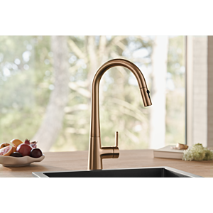 Hansa HANSADESIGNO Style kitchen tap 5136228381, side-operated, 2-spray, projection 231mm, brushed bronze