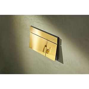 hansgrohe iFrame Element E Betätigungsplatte 66003990 für 2-Mengen-Spülung, Metall, polished gold optic