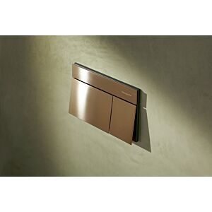 hansgrohe iFrame Element E flush plate 66003140 for dual flush, metal, brushed bronze
