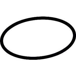 hansgrohe O-ring 56 x 3 mm 98178000