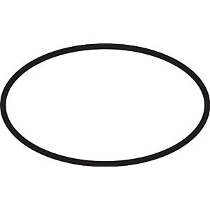 hansgrohe O-Ring 37x3mm 98476000