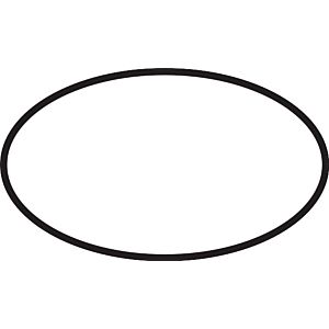 hansgrohe O-Ring 48 x 3 mm 95508000