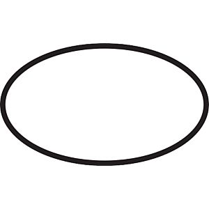 hansgrohe O-Ring Thermostat DN20 92634000 Ersatzteil