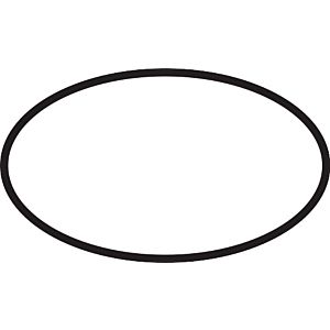 hansgrohe O-ring 42 x 2000 , 5 mm 98171000