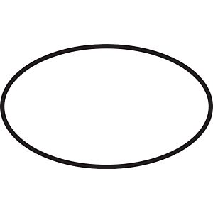 hansgrohe O-Ring 50x2mm 98187000