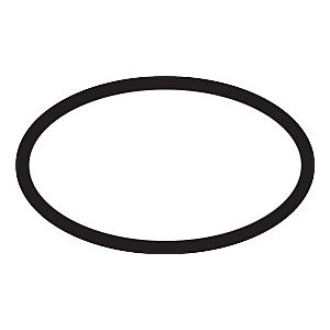 hansgrohe O-ring 22X1.5mm 98173000