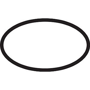 hansgrohe O-Ring 27 x 2,5 mm 98149000