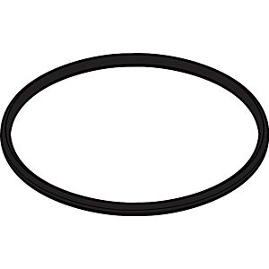 hansgrohe O-Ring 58 x 3 98202000