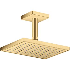 hansgrohe raccordement au plafond 26437250 100 mm, optique or brossé, carré
