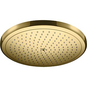 Hansgrohe 26220990 1 jet, 15,6 l/min, optique en or poli