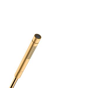 hansgrohe Axor Starck douchette à main 28532950 DN 15, 2jet, laiton brossé