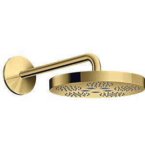 hansgrohe douche de tête Axor One 48491990 avec bras de douche, 1jet, optique or poli