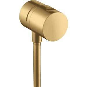 hansgrohe Fixfit vanne d&#39;arrêt 38882250 en saillie, optique or brossé