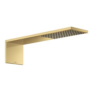 hansgrohe ShowerComposition Kopfbrause 12592250 110x220mm, Wandmontage, 1jet, brushed gold optic