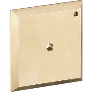 hansgrohe Spülplatte iControl manuell, chrom