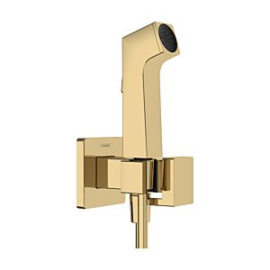 Pommeau de douche bidet Hansgrohe 29233990 1 jet type E économie d&#39;eau pour eau chaude avec support de pommeau et flexible de douche 125 cm, aspect or poli