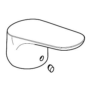 hansgrohe poignée 98532000 pour mitigeur de lavabo Focus E2, chromé