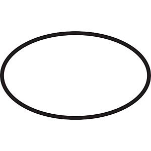 hansgrohe O-Ring 41 x 2 mm 98212000