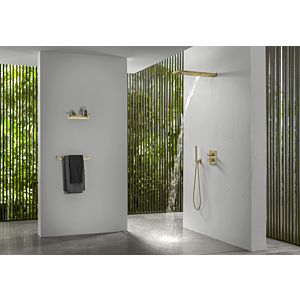 Herzbach Design iX PVD rain shower 21.661600.2.41 Brass Steel, 537x165mm, wall mounting