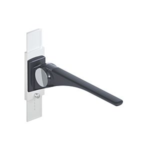 Hewi 802 LifeSystem folding support rail 802.50.40860DR 750, anthracite high-gloss/anthracite matt, with height adjustment