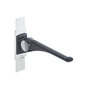 Hewi 802 LifeSystem support rail 802.50.41860DR 750 mm, anthracite high-gloss/anthracite matt, with height adjustment