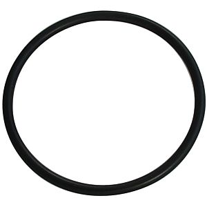 Kludi Ersatzteil O-Ring 50 x 3 92505911-00 Kst.-schwarz