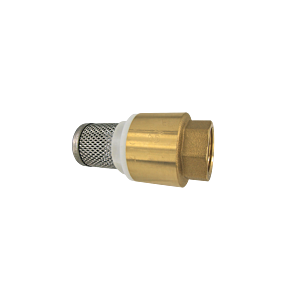 Clapet de pied AquaCraft avec filtre 1001000109 1&quot; IG, laiton