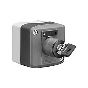 Schell surface-mounted key switch 015380099 230 V, IP 65, thermal disinfection