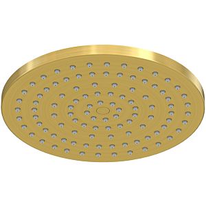 Steinberg Serie 340 Regenbrause 3401686BG 220x12mm, Easy-clean System, Deckenanschluss, Brushed Gold