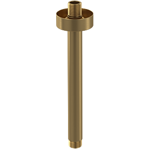 Villeroy & Boch Universal Showers Brausearm TVC00045352076 rund, Deckenmontage, brushed gold