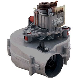 Wolf ventilateur d&#39;échappement 213.746.799 pour CGG-2 (K)