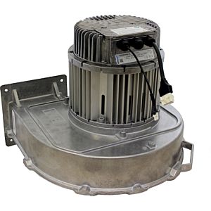 Wolf blower gas G3G250-MW50 213861799 for MGK-2 1000